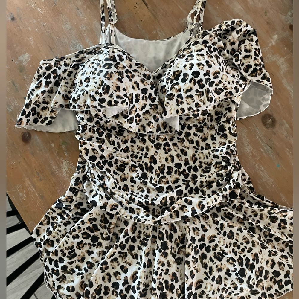 Plus size swim suit dress